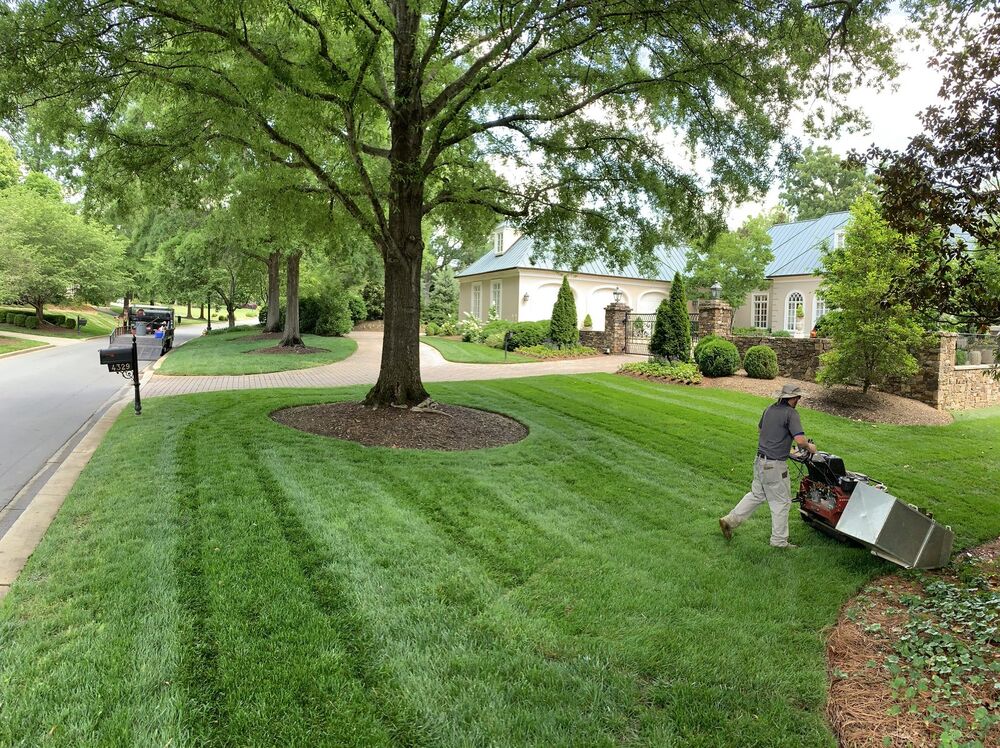 Extreme Green crew mowing a striped lawn beneath a mature shade tree