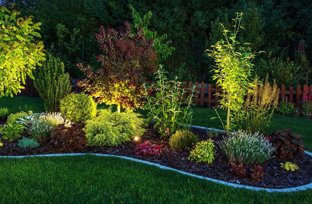 Landscape lighting illuminating garden beds and plantings at night