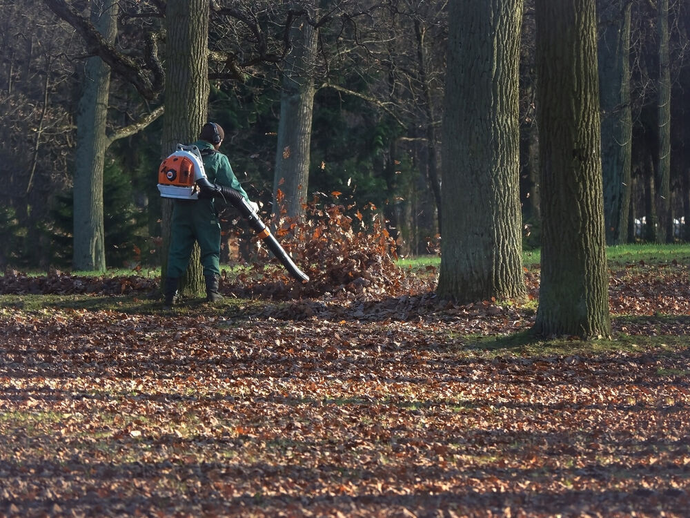 Extreme Green crew member using a backpack blower to clear fallen autumn leaves across a wooded property