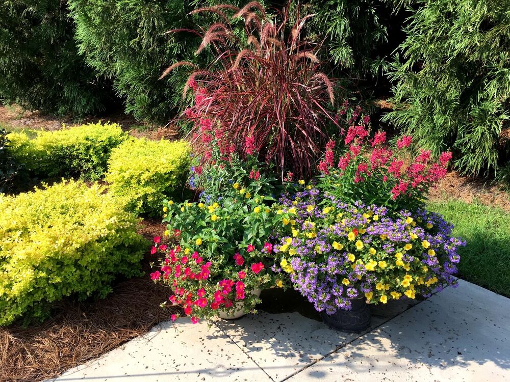 Colorful landscaped bed with layered shrubs and a flowering container along a stone walkway
